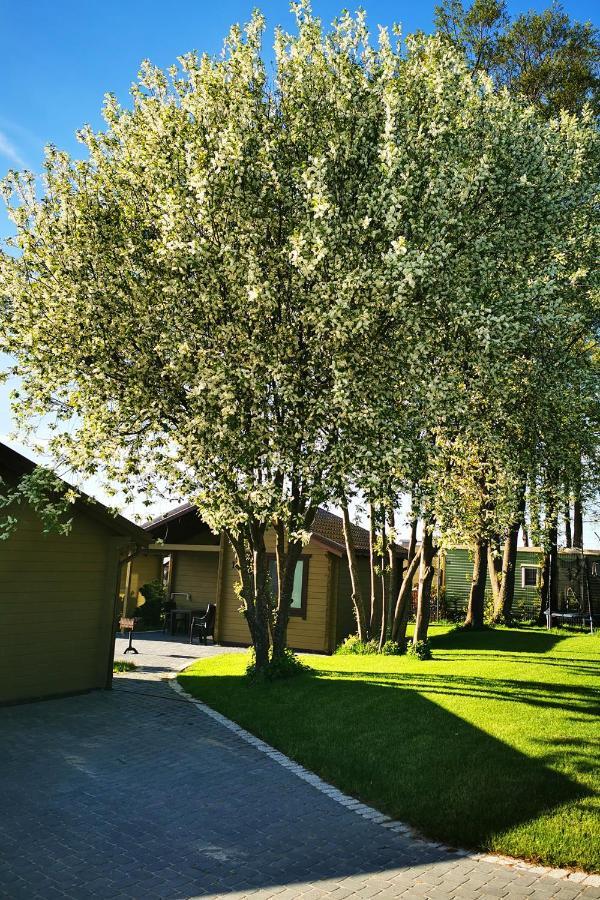 Resort Baure Palanga Eksteriør billede